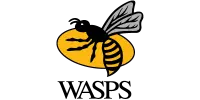 Wasps